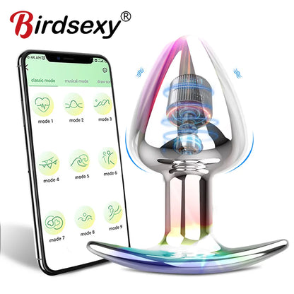 APP-Controlled Vibrator Dildo: Stainless Steel Anal Plug, Prostate Massager, Remote Control - Adult Toy for Men and Women